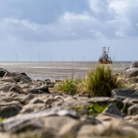 Tegeler Plate 30 Dorumer Neufeld