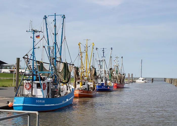 Tegeler Plate 30 בית נופש דורום נויפלד